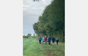 ACTIVITÉ MARCHE - SORTIE DÉCOUVERTE