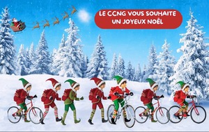 JOYEUX NOËL !