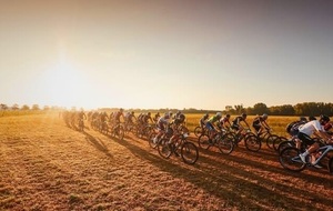 Désaffection des randos VTT organisées ?