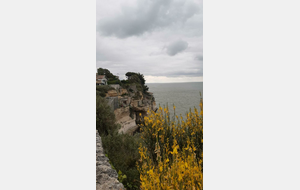 SUR LE CHEMIN DU RETOUR LE LONG DE LA VÉLODYSÉE - 10 - St Palais sur Mer/Port Maubert  - 60 km (petite étape - météo pourrie)