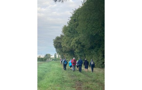 ACTIVITÉ MARCHE - SORTIE DÉCOUVERTE